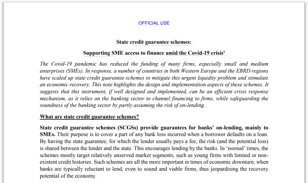 Схемы государственных кредитных гарантий: Поддержка МСБ в доступе к финансированию в период COVID-19