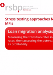 Основы стресс-тестирования для банков малого бизнеса и МФО